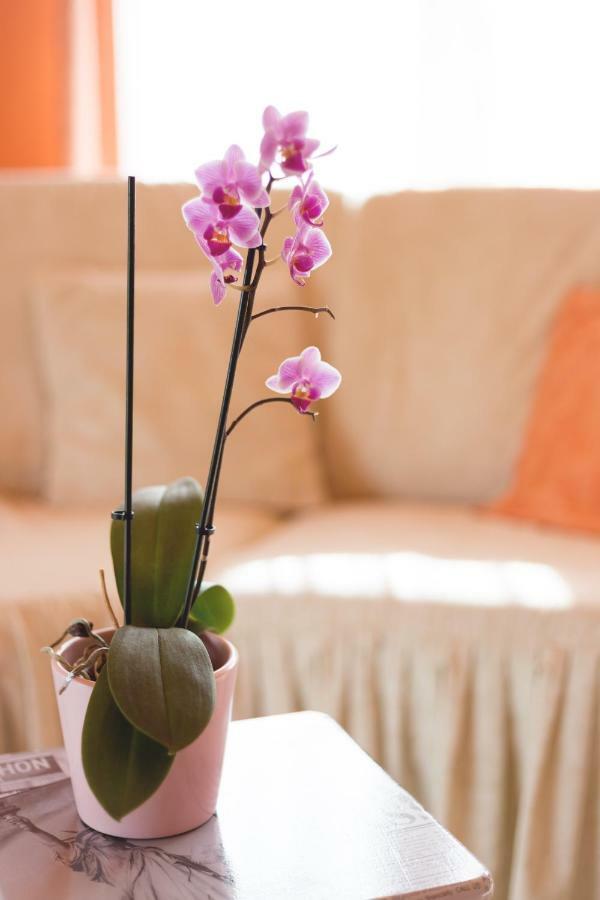 Apartment Dean Umag Dış mekan fotoğraf